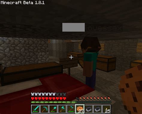 Rule 34 Minecraft : r/Minecraft