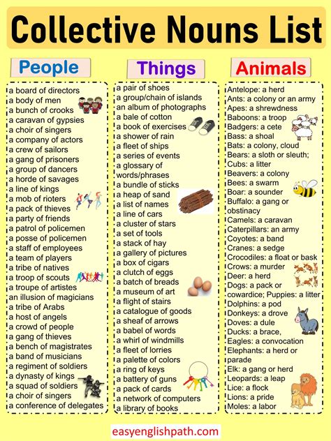 Examples Of Collective Nouns Collective Nouns Nouns Collective Noun