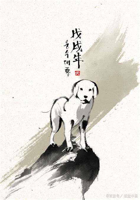 中华田园犬被移出禁养犬名单，敢为人先，深圳一直走在前面！ - 知乎
