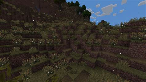 What is Firefly Bush in Minecraft