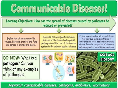 Image result for Free Science Lessons Communicable Diseases