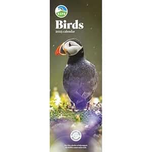 RSPB Birds Slim Calendar 2025 (PFP) : Amazon.in: Office Products