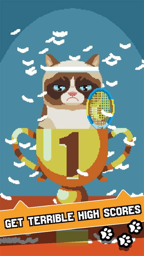 Image result for Grumpy Cat Game