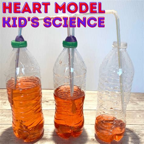 Image result for Craft Easy Science Models