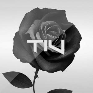 Image result for Titv 2.5 Python