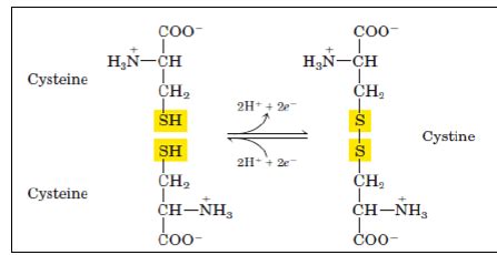 Amino Acids: Properties, Structure and Classification - Organic ...