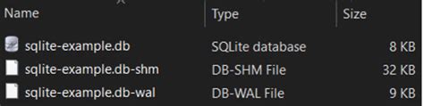 Image result for Open SQLite SHM File