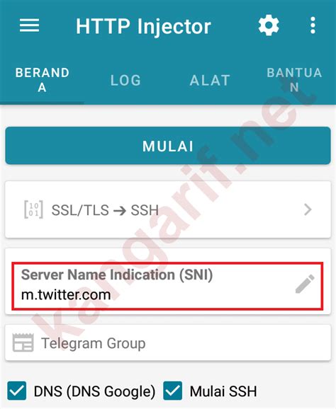 HTTP Injector Config File 的图像结果