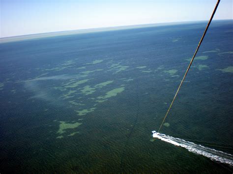 South Padre Island, Texas. Parasailing! | South padre island ...