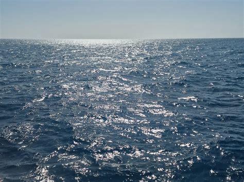 TAURITO WATER SPORTS (2026) All You Need to Know BEFORE You Go (with ...