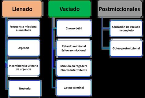 Clasificación de síntomas de llenado, vaciado y postmiccionales para el ...