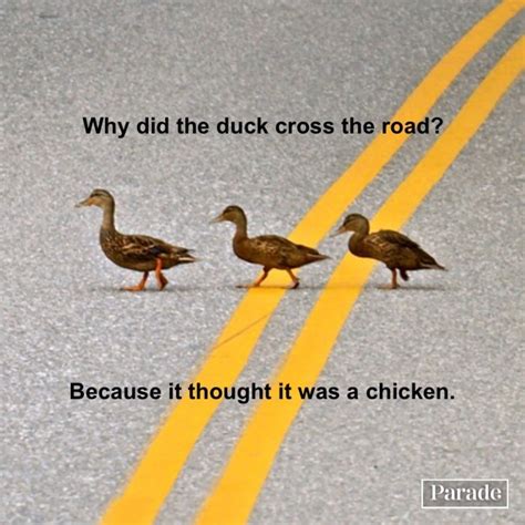 35 Funniest "Why Did the Chicken Cross the Road?" Jokes - Parade