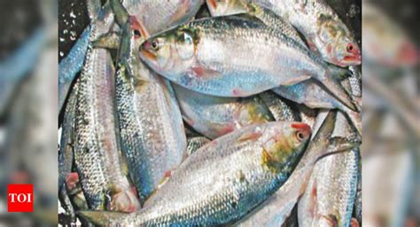 Goan fishermen want govt to ensure transportation of fish to ...