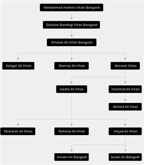 Official website of Sarod Virtuoso and Composer Amjad Ali Khan