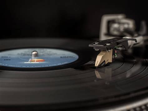 Reggae Instruments 的图像结果