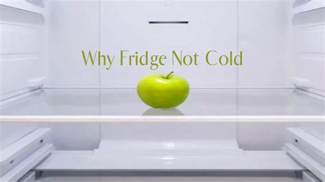 Why Fridge Not Cold? - Appliances Related Articles