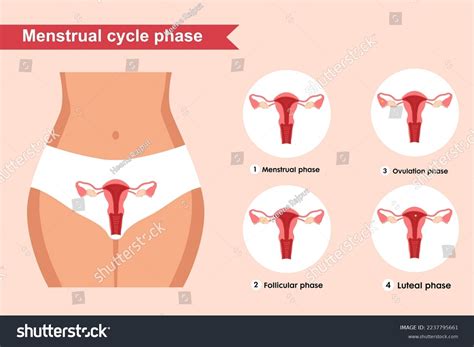Image result for DepEd Module Female
