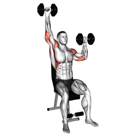 Image result for Work Out Press