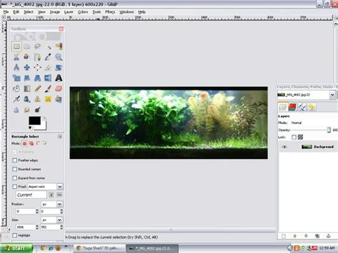 Image result for Editing Using GIMP