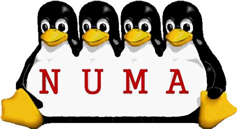 Image result for Linux Numa Performance