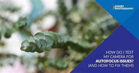 Image result for Camera Focus Test Pattern