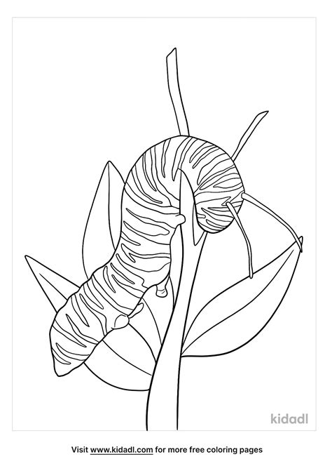 Monarch Caterpillar Coloring Sheet