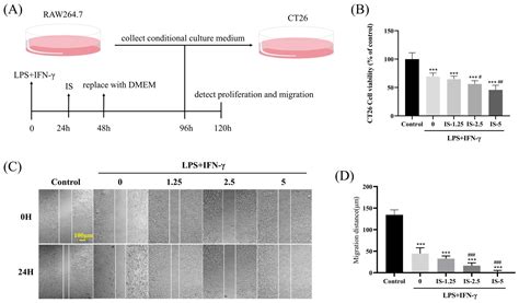 Inosine Prevents Colorectal Cancer Progression by Inducing M1 ...