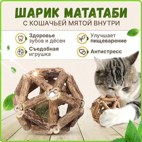 Игрушка для кошек, чистки зубов, шарик мататаби с кошачьей мятой для ...