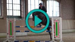 www.equi-league.com *** Online uitdagingen overal