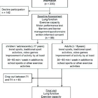 Image result for Selection Structure Python Flowchart