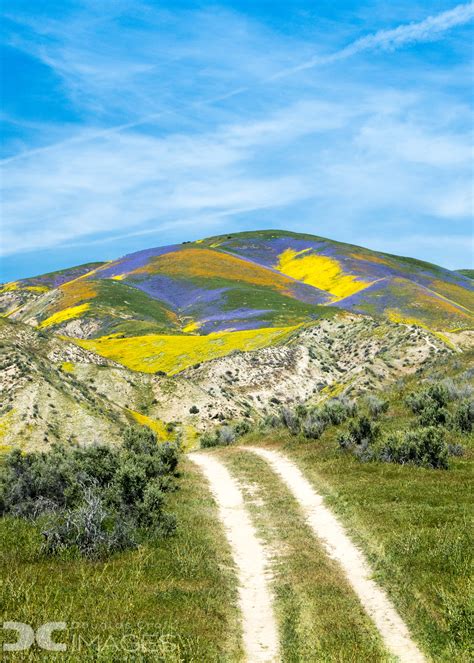 The Temblor Range | Shutterbug