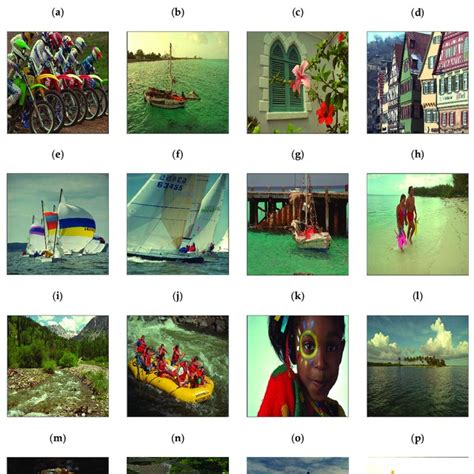 Image result for Bayer Array