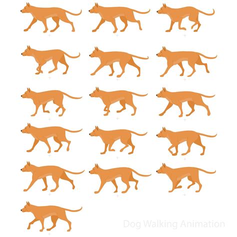 Dog walk Animation sprite sheet, walk cycle Animation sequence ...