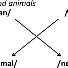 Image result for Quick Study Guide Examples