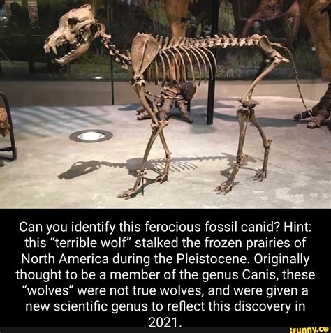 Prehistoricpredators memes. Best Collection of funny Prehistoricpredators pictures on iFunny