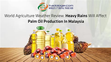 Malaysia Agriculture 的图像结果