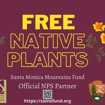 FREE PLANT SATURDAY! - California Native Plant Nursery Volunteering ...