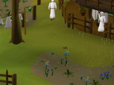 Jatix's Herblore Shop. - OSRS Wiki
