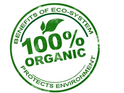 Organic Datura Fruit – GreenDNA® India