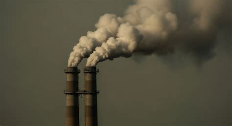 Data Contamination → Area → Sustainability