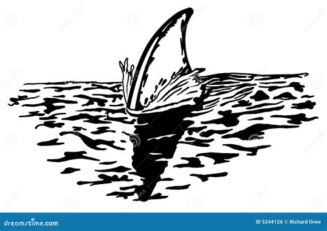 Shark's Dorsal Fin Cuts The Surface Stock Photo | CartoonDealer.com ...