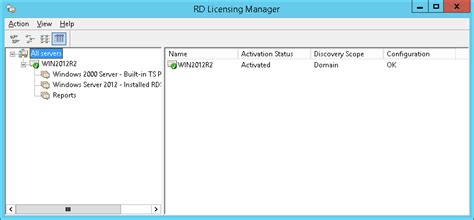 Image result for Remote Desktop Licensing Manager