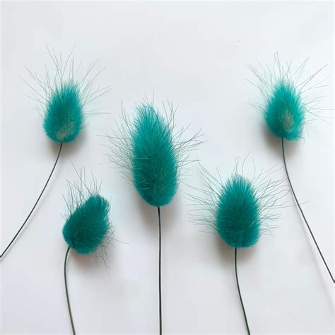 Small Bunny Tail Flower - Blue