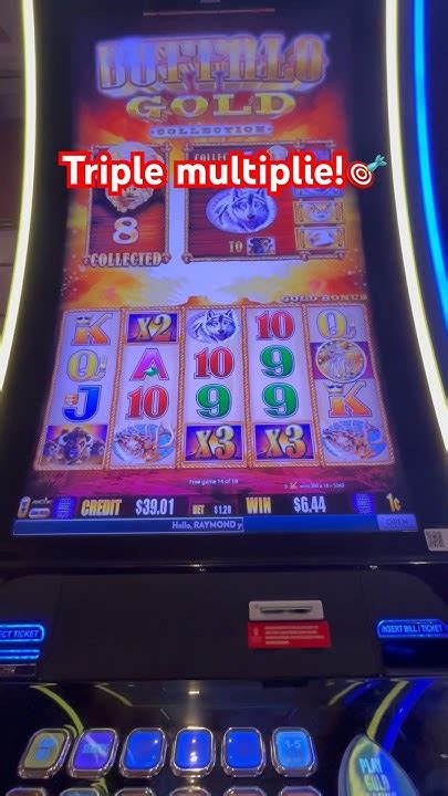 slotswinner cash multipliers,In the vibrant world of online gaming