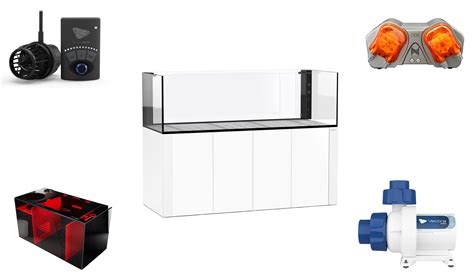 Paludariums - Aquariums & Sumps - Aquariums & Sumps