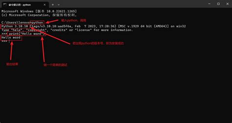 Python 3.10 Setup 的图像结果