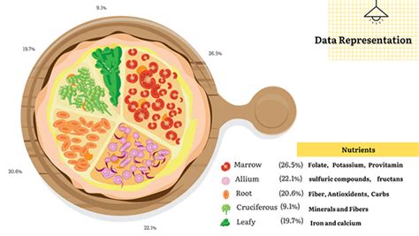 Image result for Understanding Data Representation Video Clips