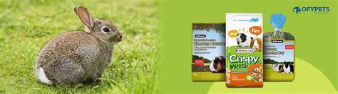Small Pets Store — Ofypets