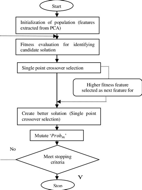 Genetic Algorithm Feature Selection 的图像结果