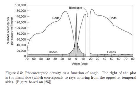 The Physiology of Human Vision - Zoology Optional Notes for UPSC PDF ...